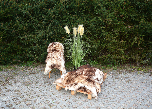 Öko Mufflon Lammfell Unikat (95x65cm) – Robustes Kurzhaar für Deko & Haustiere